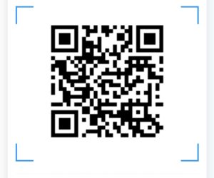 mega box new feature – google wallet presents QR for easy and fast enter .